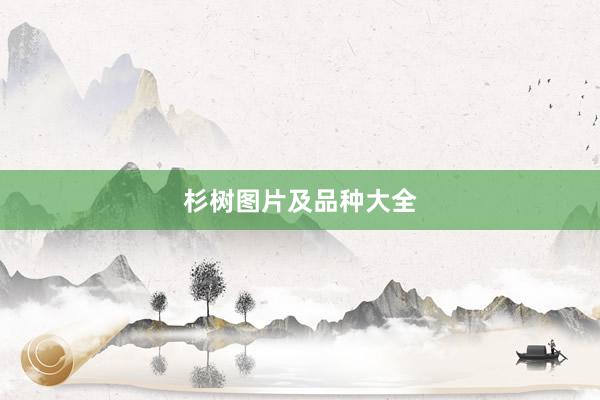 杉树图片及品种大全