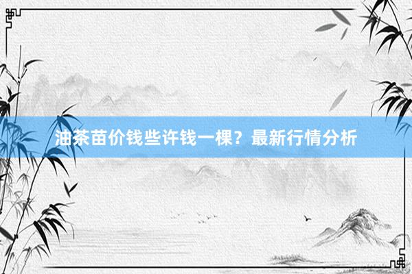 油茶苗价钱些许钱一棵？最新行情分析