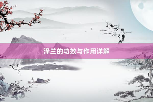 泽兰的功效与作用详解